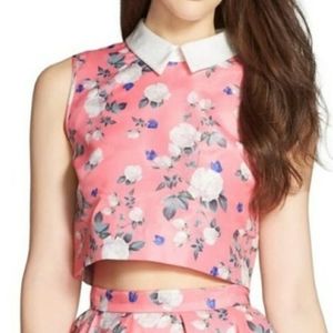 Erin Fetherston Josephine crop top + skirt